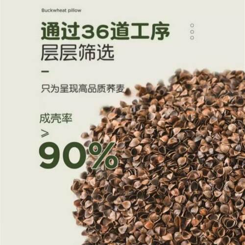 全荞麦皮壳枕头护颈椎助睡眠决明子枕芯硬整头成人男护颈枕小高枕