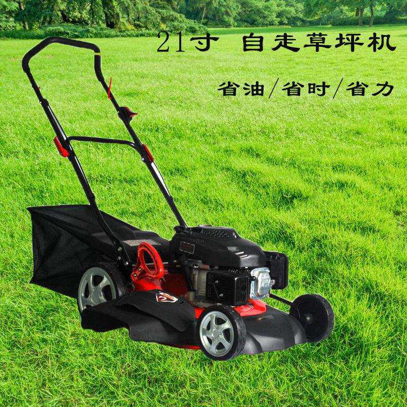 源头厂家家用手推割草机 20寸自走汽油四冲程剪草机 碎草草坪机