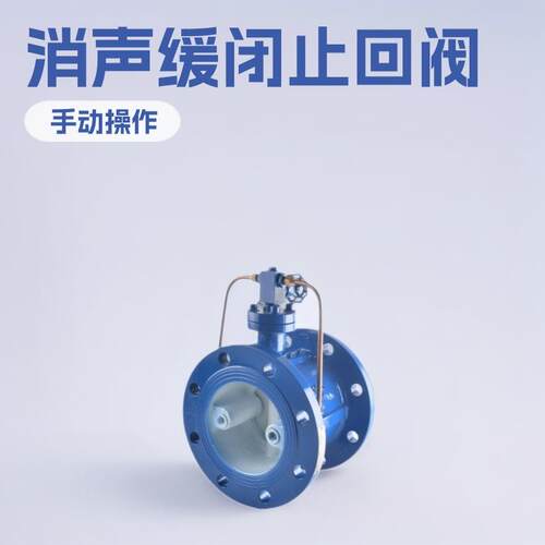 HH49X-16HH48X铸钢消声缓闭止回阀防回流防水锤蝶式DN100