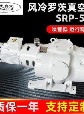 厂家制作SRP-501罗茨泵干式风冷罗茨真空泵莱宝技术罗茨真空泵