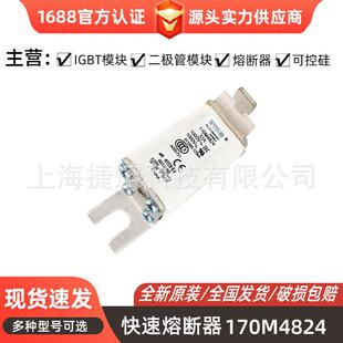 低压快速熔断器170M4824 170M4956 170M5013 型号齐全 标准封装