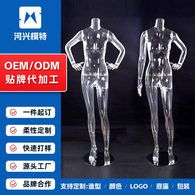 透明模特组合服装拍摄道具女装全身人体模特台内衣展示架橱窗假人