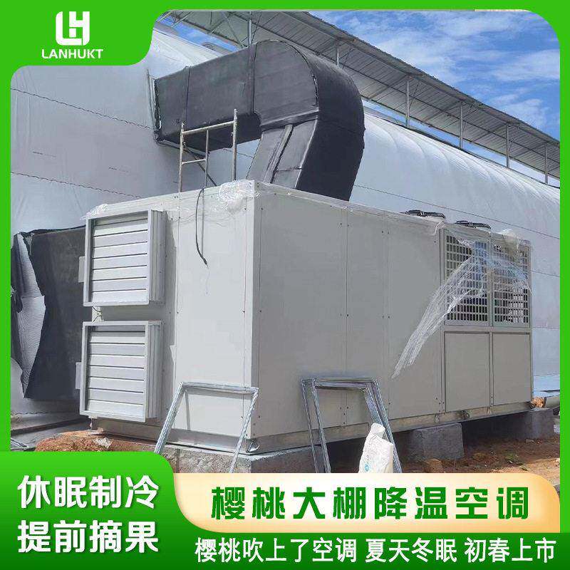 樱桃大棚降温空调温湿度控制樱桃休眠一体机温室反季节种植设备