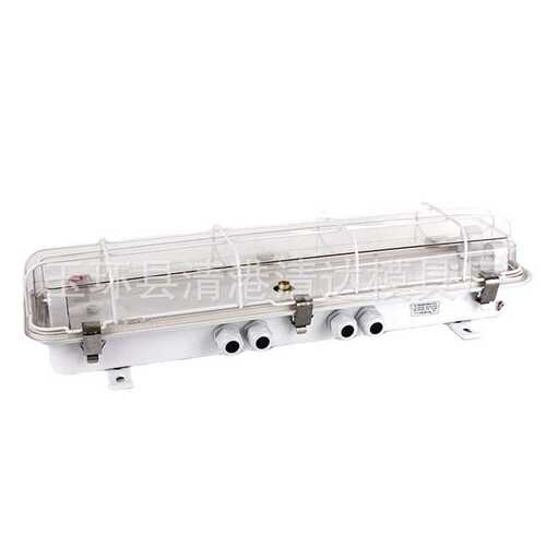 船用荧光舱顶灯JCY24-2EF   船用灯具 照明灯具2X20W 船用舱顶灯