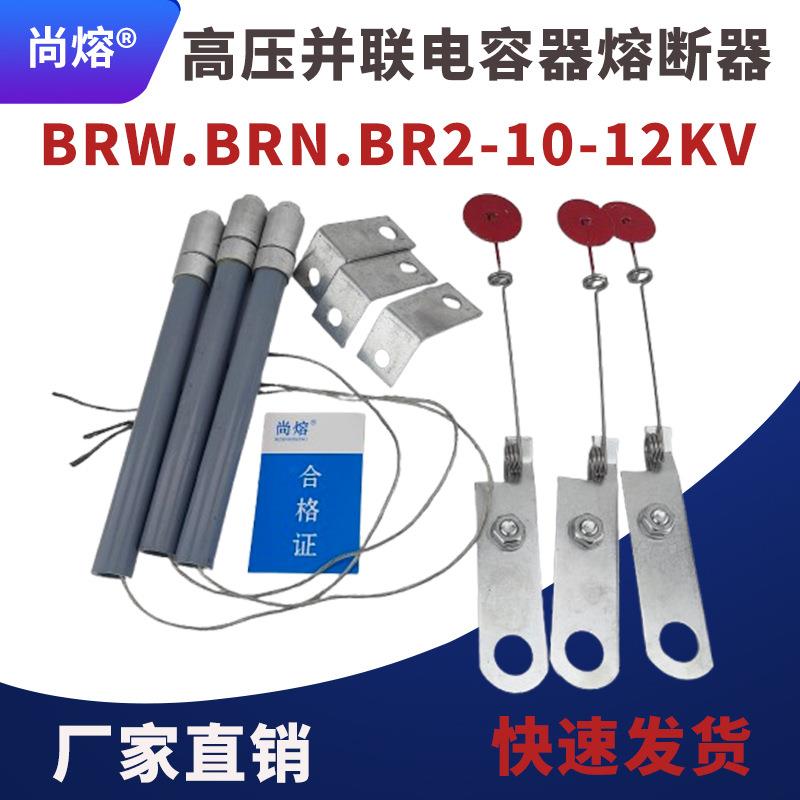 高压并联熔断器电容保护器BR2-BRW-BRN-10A12KV/30A40A60A100A150