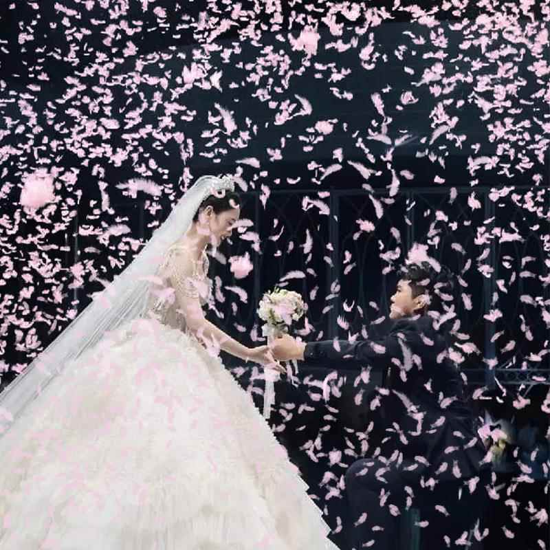 结婚花瓣花雨持礼炮婚礼喷筒彩带手礼筒羽毛礼花筒炮婚庆用品/大