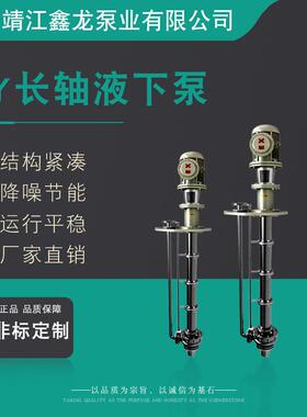 LY系列双端蜗壳长轴液下泵立式化工离心泵厂家可定制