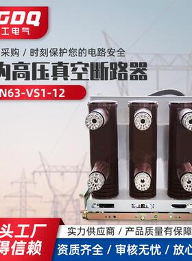 ZN63-VS1-12系列户内高压真空断路器高压真空断路器固定式手车