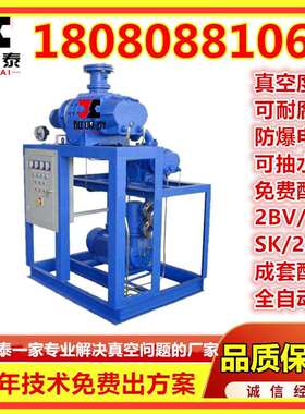 JZJ2B1200-4.P真空机组ZJ2020-300罗茨增压泵2BV516XAX1水1环真空