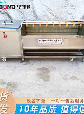 锈设毛钢辊清洗机 厂家供应 根茎类蔬菜去皮KJM清洗备 不地瓜清洗