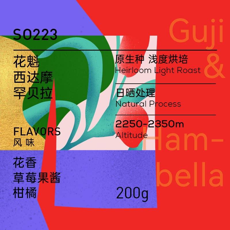 玫瑰咖啡 花魁 日晒西达摩罕贝拉精品手冲咖啡豆 花香莓果