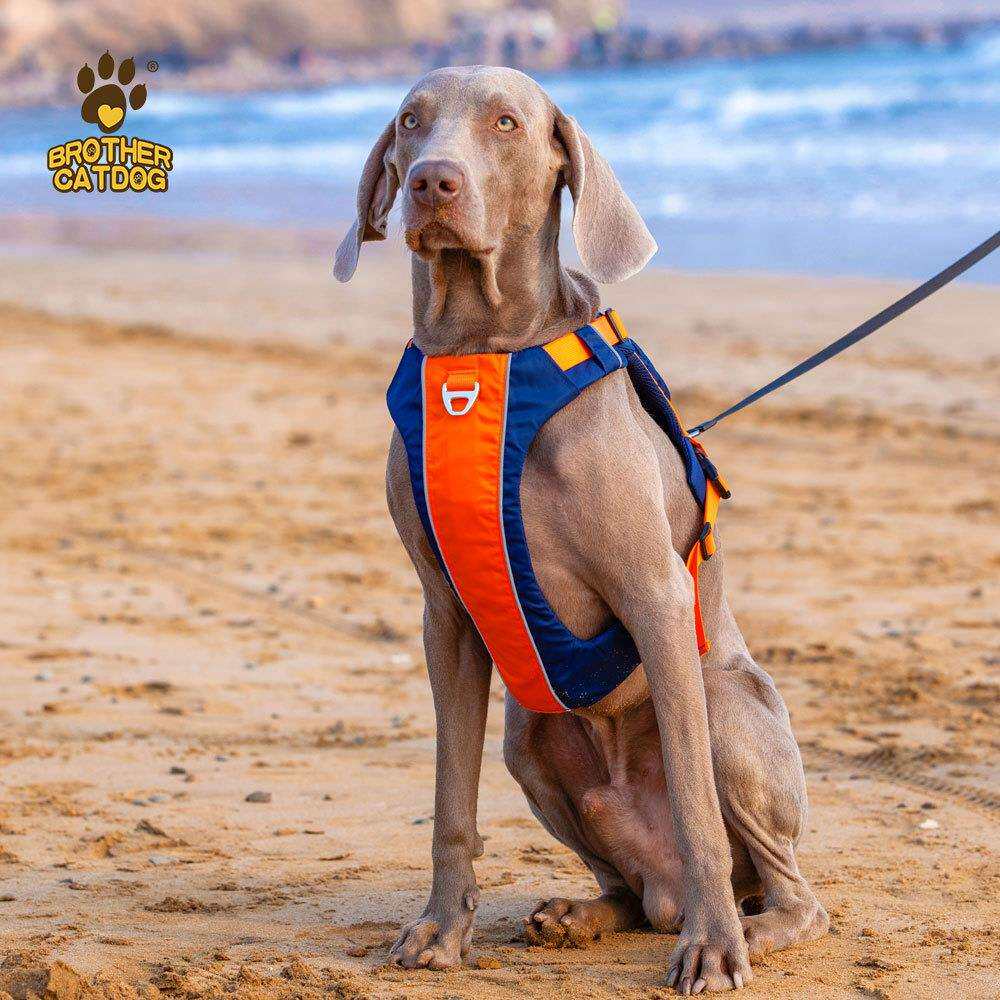新款狗狗胸背带背心式背带金毛拉布拉多狗胸背牵引绳大型犬