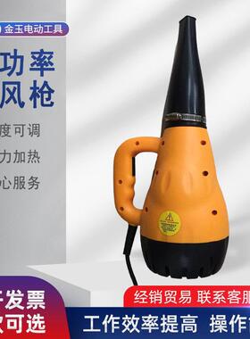 温度可调强力加热风暴枪洗车大功率吹尘干燥加热器除雪器热风枪