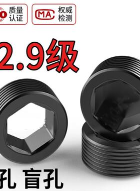 12.9级内六角堵头M10M12M20M22M24x6x8x12喉塞油堵止付螺丝闷头