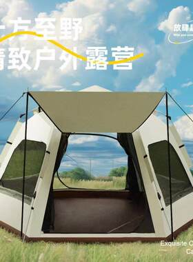 露营帐篷家庭旅行防潮防晒防蚊虫2-6人六角野营大帐篷户外速开