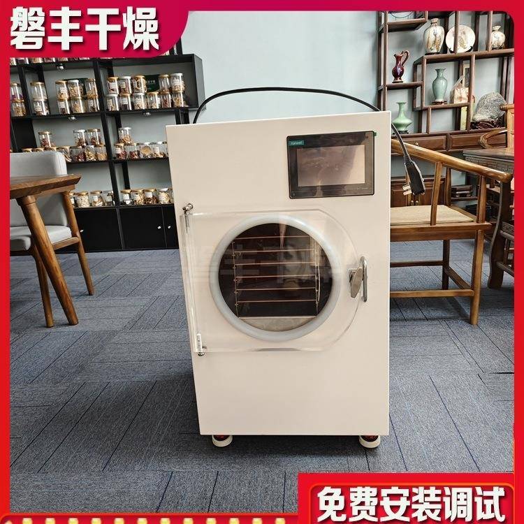 果蔬真空冻干机小型家用冻干机大型食品冷冻干燥机