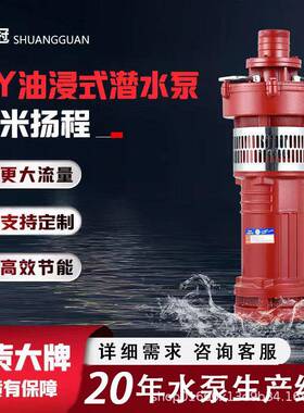 定制QY潜水电泵三相农田充油式园林排灌大流量油浸泵扬程农用泵