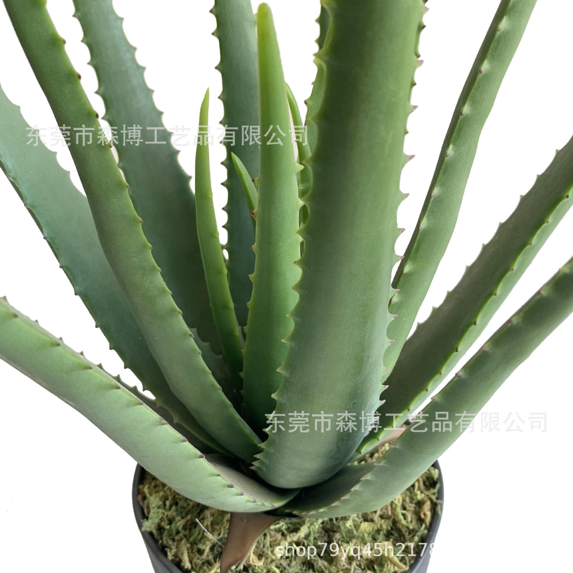 仿真植物假芦荟盆栽盆景室内外客厅桌面多肉小绿植摆件橱窗装饰