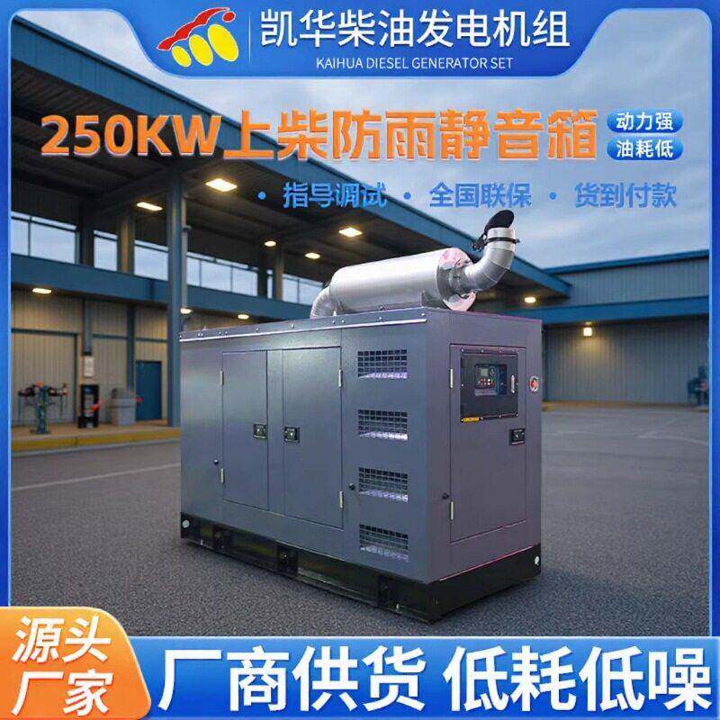 250KW上柴防雨静音箱式柴油发电机组户外电源应急柴油发电机组图片