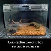 宠物螃蟹饲养套装 南海溪蟹中华沙蟹彷地蟹圆轴图氏蟹懒人养法爬箱