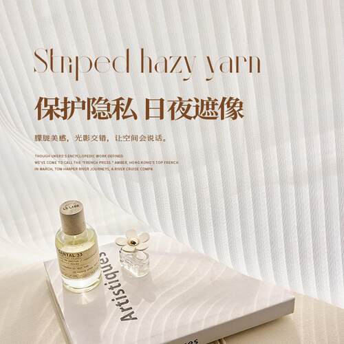 金蝉网红竖百叶垂直梦幻帘客厅阳台透光不投人窗纱白纱窗帘窗纱