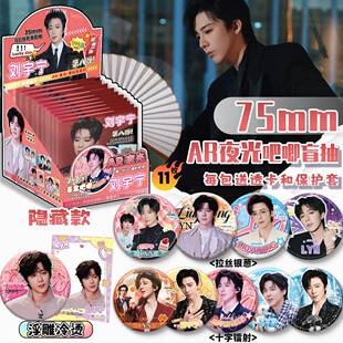 刘宇宁周边AR夜光黑科技马口铁吧唧盲盒小黑鹿也徽章谷子生日礼物