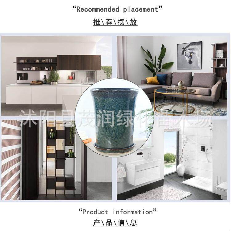 陶瓷花盆大号室内绿植物盆栽凤尾竹用简约陶瓷盆景盆带陶瓷托盘