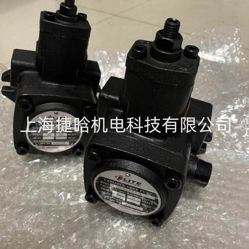 叶片泵 VP-12-FA1-0 VP20-FA1-0 液压系统变量油泵