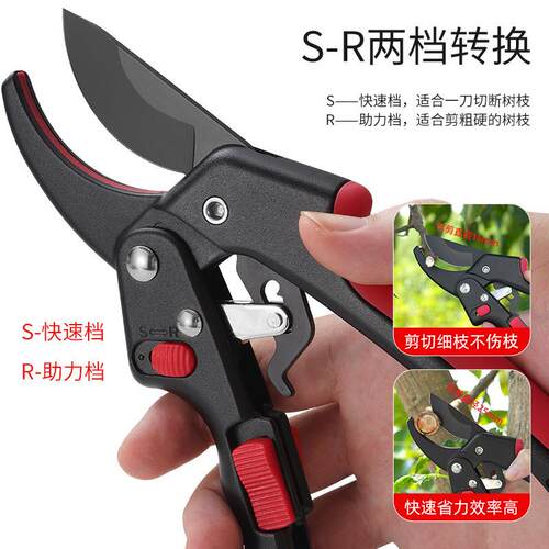 软胶手柄 果树修枝剪 树枝专用花艺花卉枝剪子 剪枝园林工具