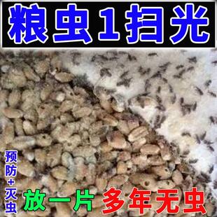 家用粮食防虫驱虫除驱虫药玉米小麦稻谷大米面粉库房仓储防虫杀虫