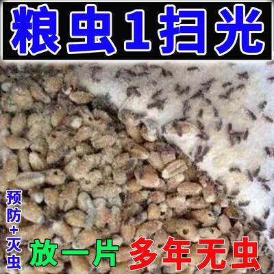 家用粮食防虫驱虫除驱虫药玉米小麦稻谷大米面粉库房仓储防虫杀虫