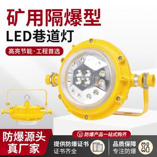 DGS48 矿用隔爆型LED巷道灯50W 127V井下用圆形防爆照明灯 127L