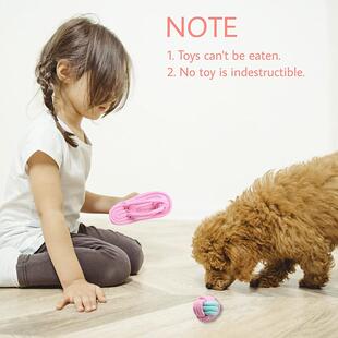 1PCS Dog Pet Toys Toy for Chew Dogs Large Small