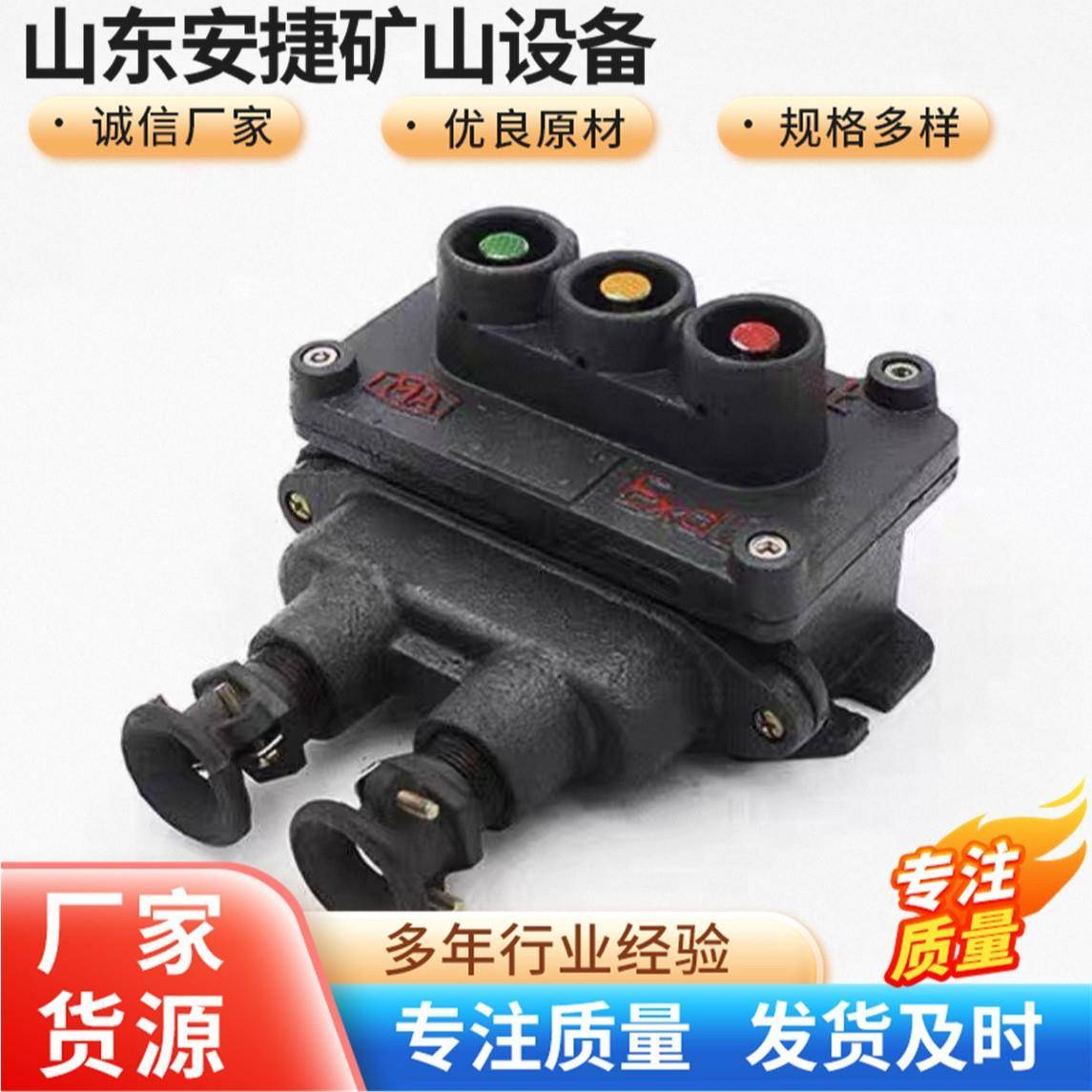 矿用隔爆型控制按钮远程控制设备井下电气控制按钮煤矿控制按钮