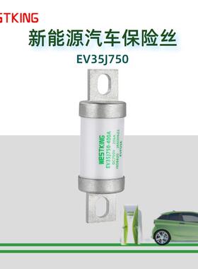 西霸新能源 电动汽车电池系统高压控制盒 DC750V-400A 直流熔断器