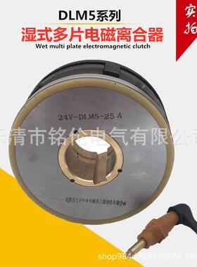 DLM5系列湿式多片电磁离合器 DLM5-160A 机床 铣床离合器24v