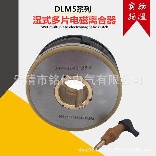 DLM5系列湿式多片电磁离合器 DLM5-160A 机床 铣床离合器24v