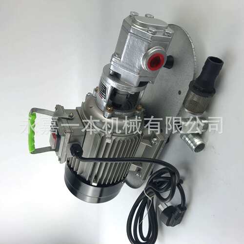 WCB齿轮油泵 植物油油泵 不锈钢齿轮油泵 AC Gear Oil Pump