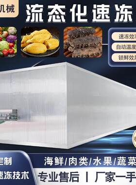 玉米葡萄果蔬极速流态化速冻机商用黑芝麻汤圆面筋冷冻设备