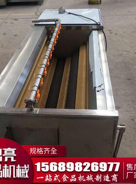 定制小型果蔬清洗机 气泡清洗流水线 网带式清洗机 诸城鼎亮机械