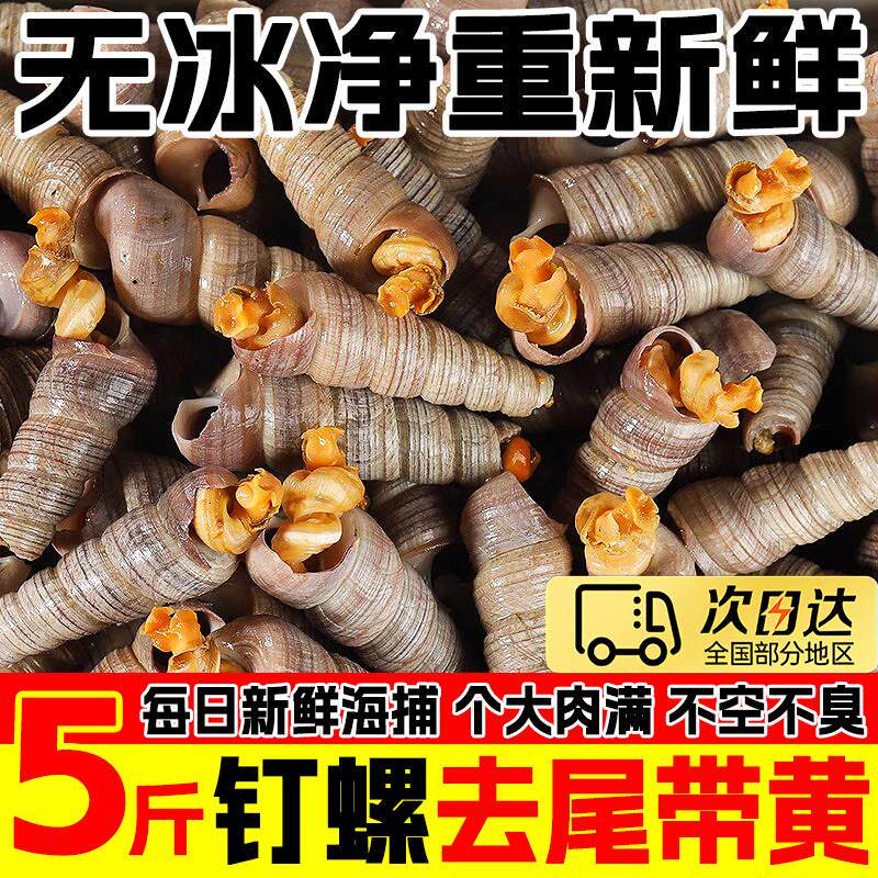 钉螺鲜活去尾大号锥螺无沙新鲜海螺丝捞汁小海鲜麻辣贝类包邮商用