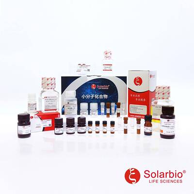 IA0320AmphotericinB可溶性两性霉素B科研用1397-89-3