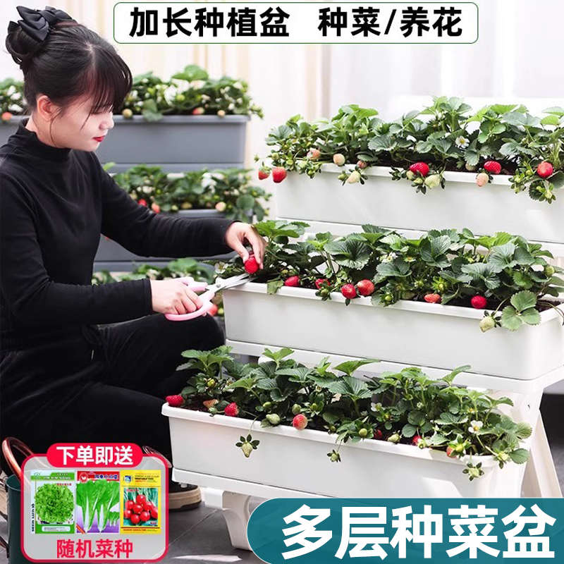 阳台种菜盆多层种植箱蔬菜专用花盆顶楼草莓特大花盆家庭种菜神器