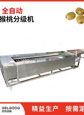 猕猴桃选果设备 奇异果自动分级分拣机械  食品厂水果分级分选机