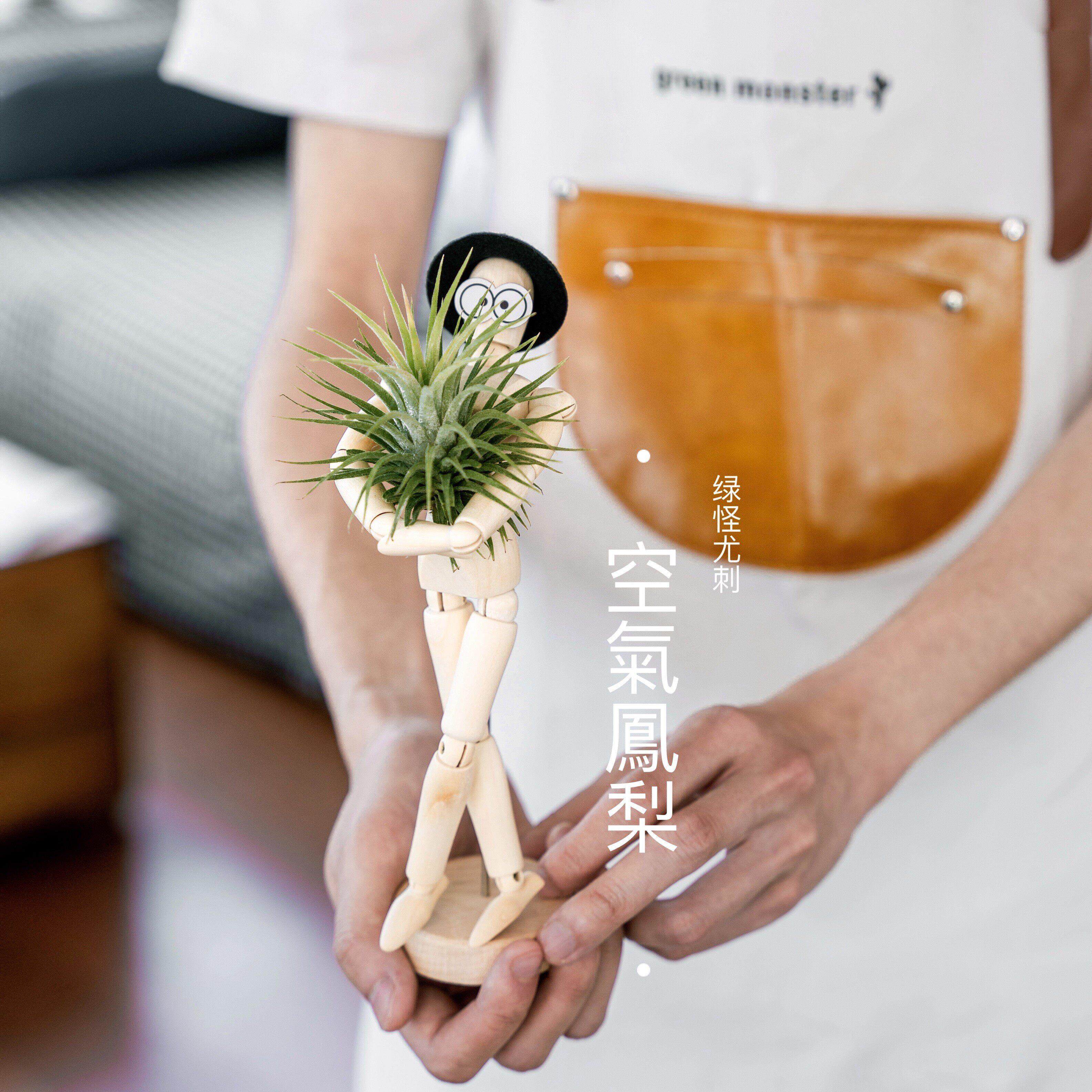 ins 创意可爱超萌节日礼物礼品 桌面绿植装饰盆栽 木偶人空气凤梨