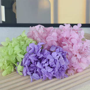 饰花材手工diy材料干花摆件 槿梦缘永生花AB级木绣球100g生日真装