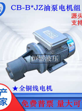 齿轮抽油泵电机总成CB-B4JZ 10 32 63 80 125JZ润滑泵电机组装置