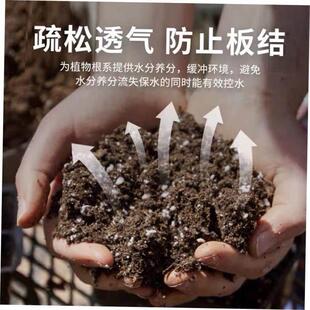 Potting organic succulent vegetable soil