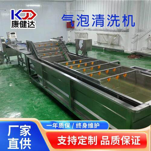 西蓝花去农残气泡清洗机多功能竹笋清洗设备鱼皮海参气泡清洗线