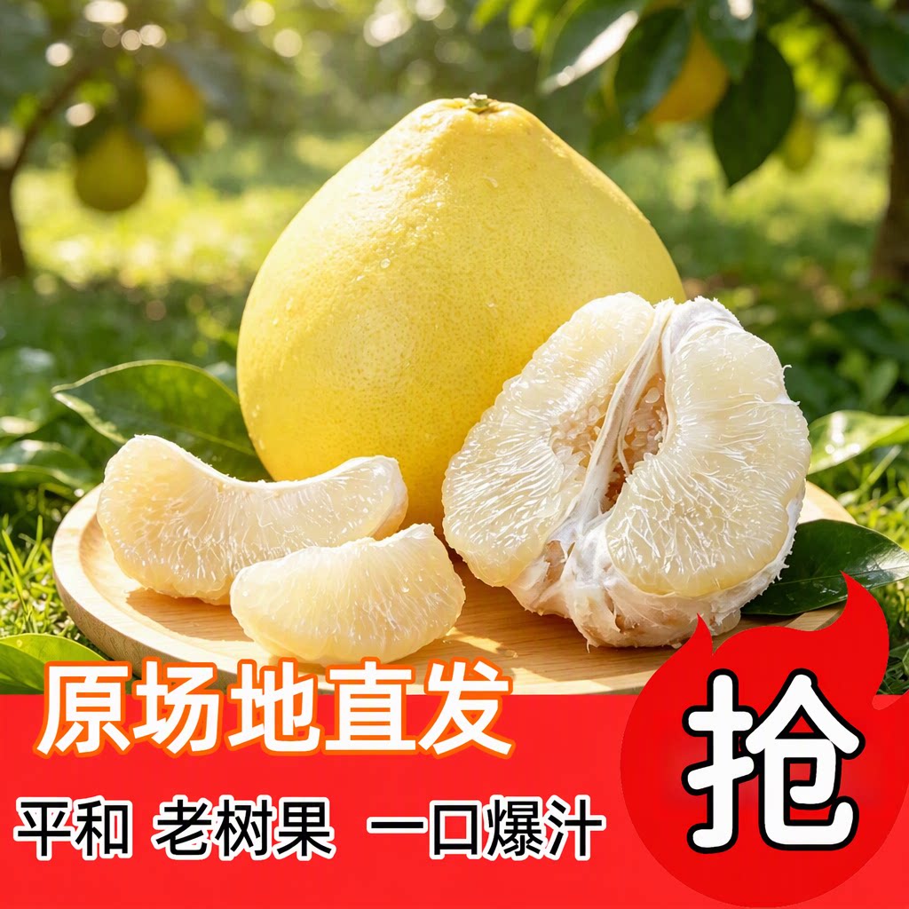福建平和白心柚子奶糖蜜柚皮薄易剥当季现摘汁水丰盈孕妇包邮